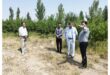 فناوری هسته ای به کمک کشاورزان البرزی می آید