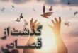 بخشش ۱۸ محکوم به قصاص در استان البرز